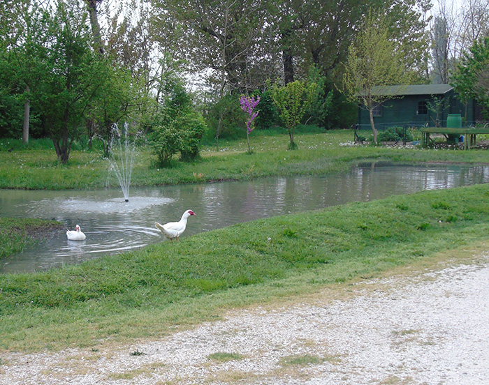 Laghi - stagni